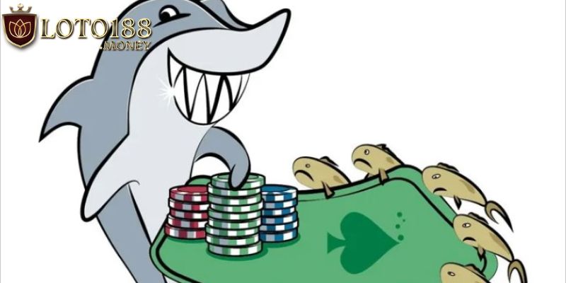 Đôi nét cơ bản về fish trong poker là gì